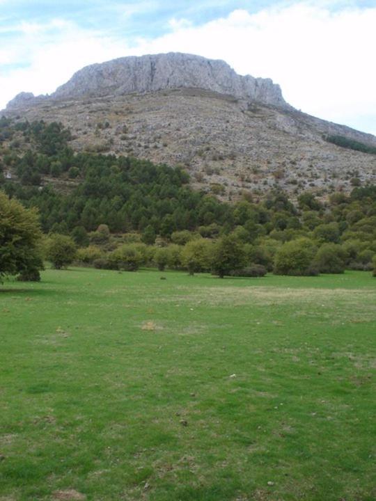 Casa Rural Casa Gonzalo ξενώνας Bélmez de la Moraleda Εξωτερικό φωτογραφία