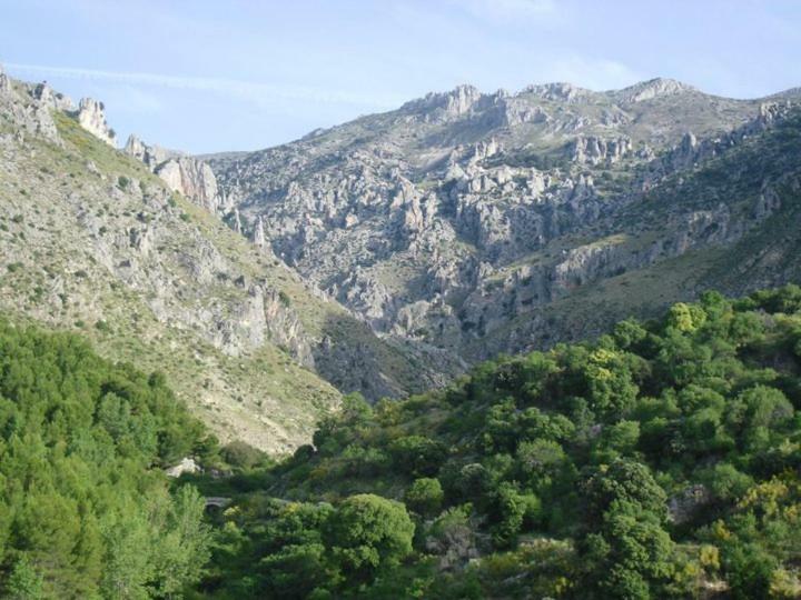 Casa Rural Casa Gonzalo ξενώνας Bélmez de la Moraleda Εξωτερικό φωτογραφία